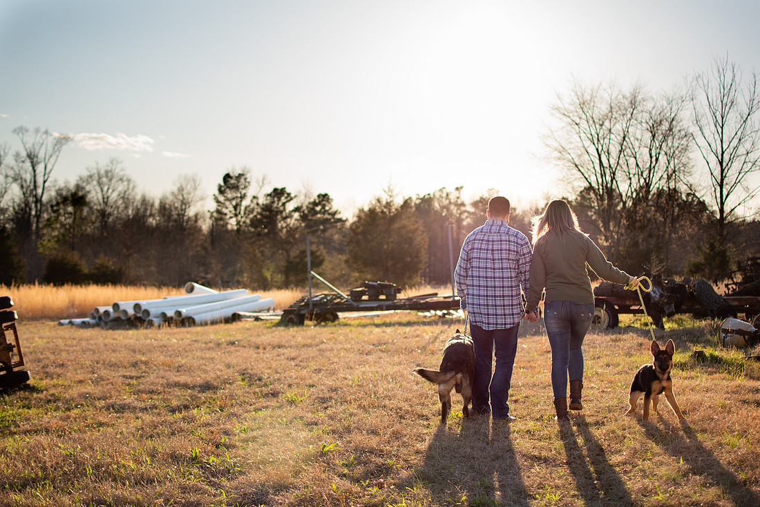 Family walking with dogs in evening light