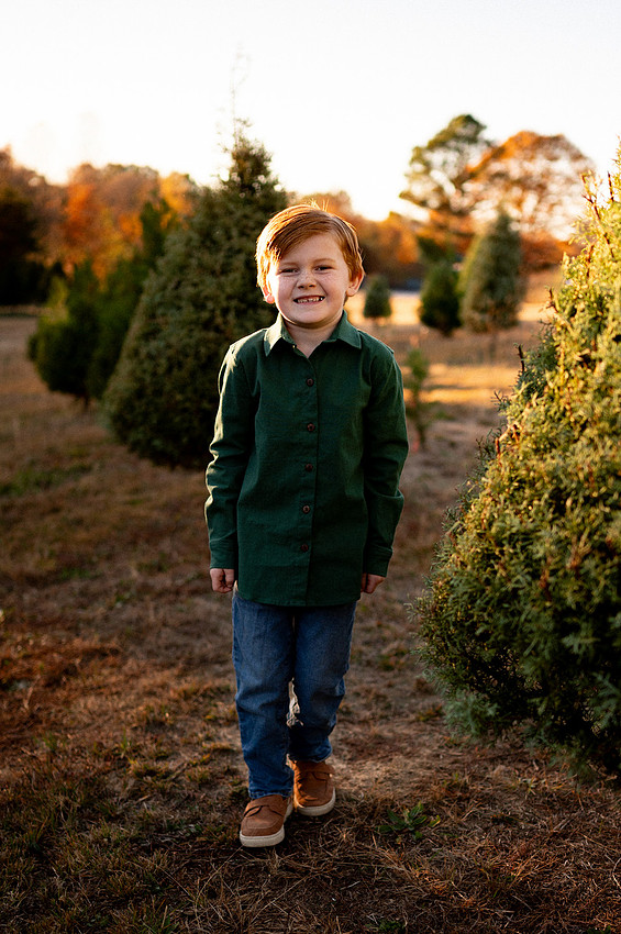 Young boy walking through an evergreen field at sunset