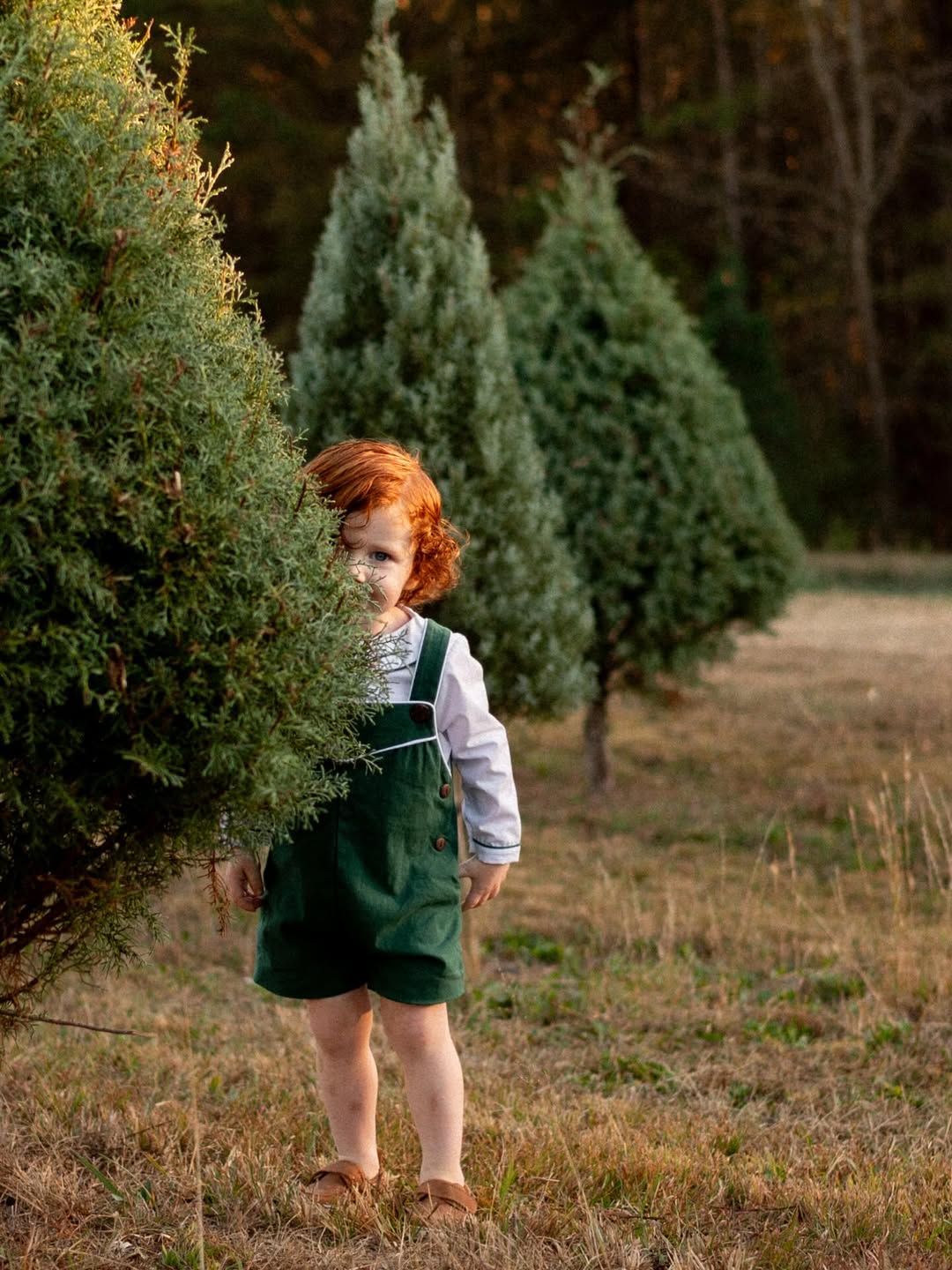 Red-haired child peeking from behind an evergreen tree